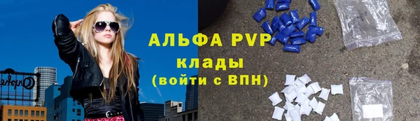 индика Богородск
