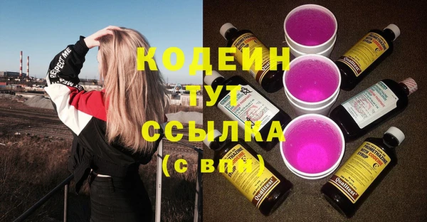 индика Богородск