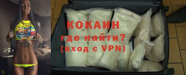 spice Богородицк