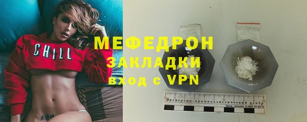 индика Богородск