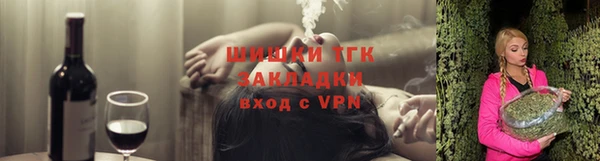 spice Богородицк