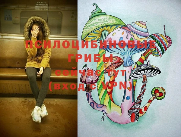 индика Богородск