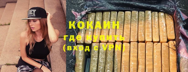 spice Богородицк