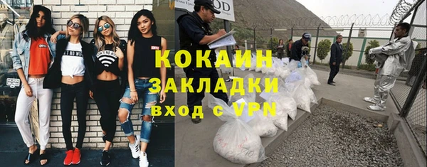 spice Богородицк