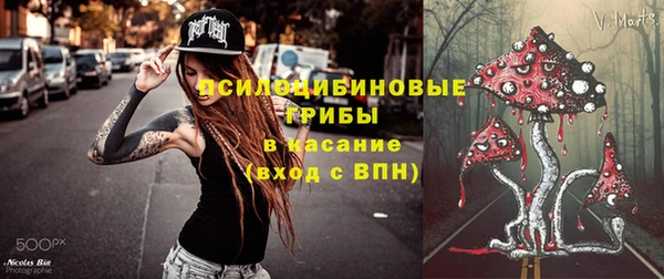 spice Богородицк