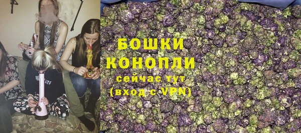 гашиш Богданович