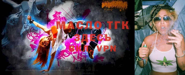 индика Богородск