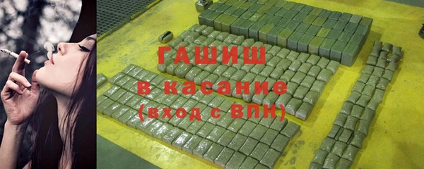 индика Богородск
