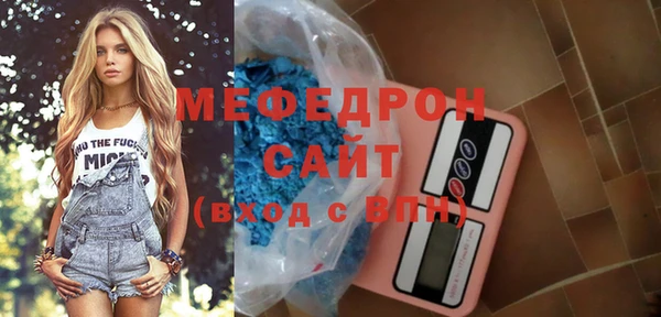 spice Богородицк