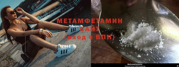 индика Богородск