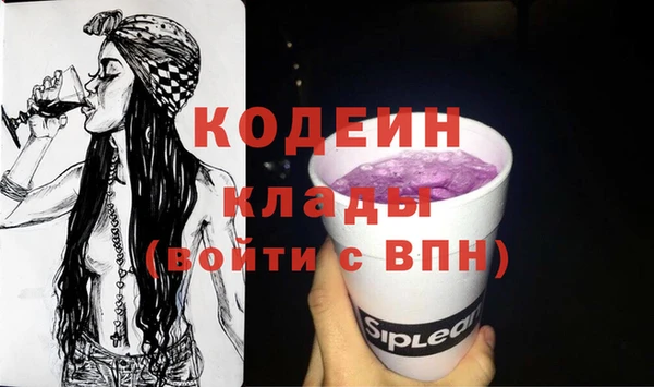 индика Богородск