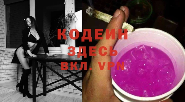 индика Богородск
