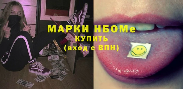 индика Богородск