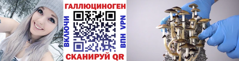 Псилоцибиновые грибы прущие грибы  как найти   Наволоки 